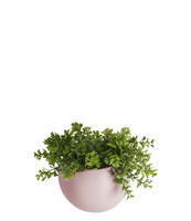 Wall plant pot Globe ceramic
