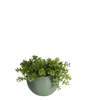 Wall plant pot Globe ceramic