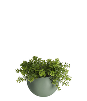 Wall plant pot Globe ceramic
