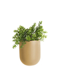 Wall plant pot Oval ceramic matt