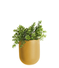 Wall plant pot Oval ceramic matt