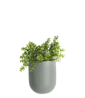 Wall plant pot Oval ceramic matt