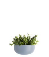 Wall plant pot Oval wide ceramic matt