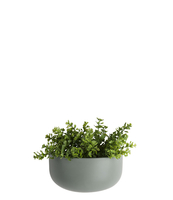 Wall plant pot Oval wide ceramic matt
