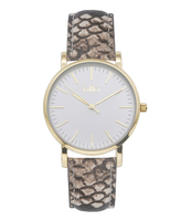 Watch Jamy Brown Python