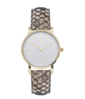 Watch Rose Brown Python
