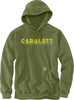 Carhartt Rain Defender Lose Fit Midweight Logo Graphic Hoodie,  groen,  afmeting L voor man