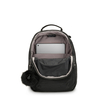 Clas Seoul S