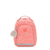Class Room S
