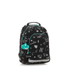 Class Room S