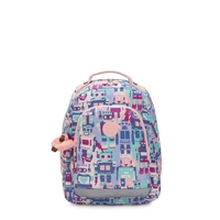 Class Room S
