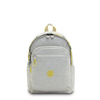 Delia Cl
