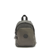 Delia Compact