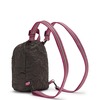 Delia Compact