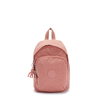 Delia Compact