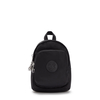Delia Compact