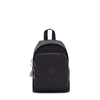 Delia Compact