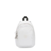 Delia Compact