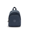 Delia Compact
