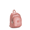 Delia Compact