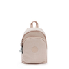 Delia Compact