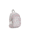 Delia Compact