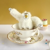 Hrh Prince Louis Monkey